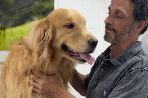 Clínica veterinária Zoovet ganha notoriedade em São Paulo