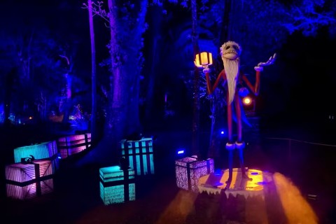 Tim Burton transforma Jardim Botânico-SP com exposição imersiva ‘O estranho mundo de Jack’